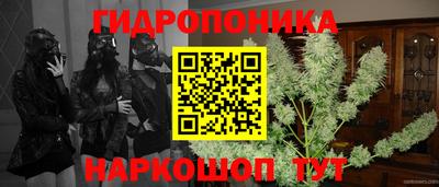 гашик Мариинск