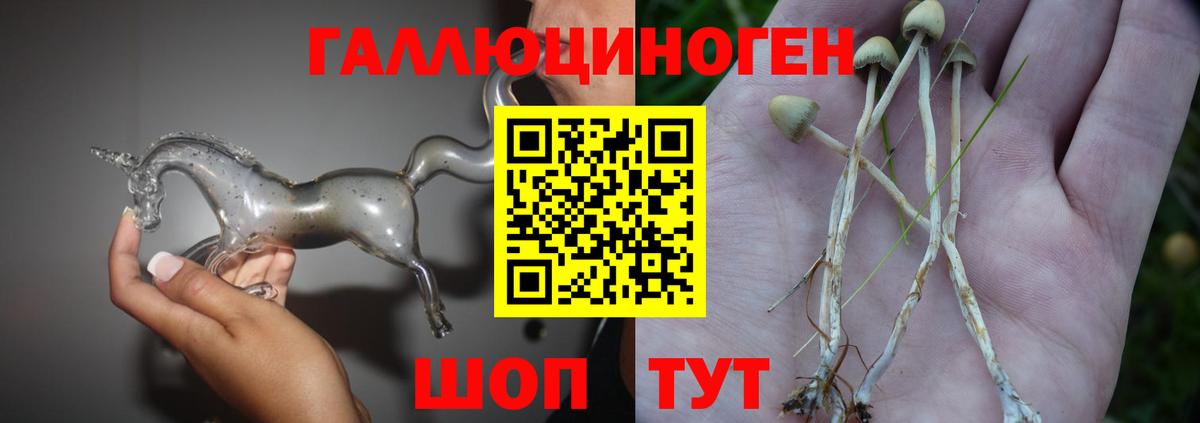 Псилоцибиновые грибы Psilocybine cubensis  Вход с VPN  Трёхгорный  Псилоцибиновые грибы мухоморы 
